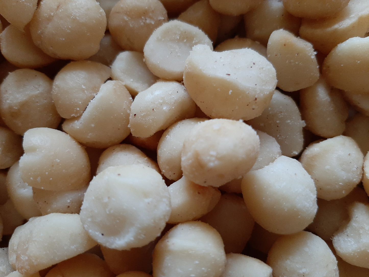 Roasted & Salted Macadamia